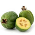 Feijoa Fruit